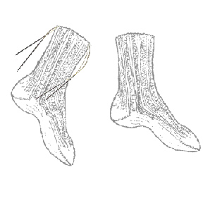 40so Socks on Circular Needles: From the toe up